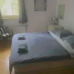 Damati Kft Liszt Ferenc Ter Inner Flat Apartment